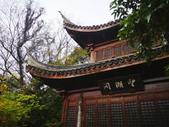 -宝界山林公园