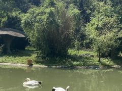 -宁波野生动物园