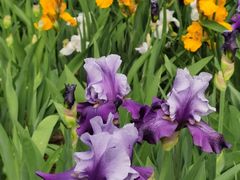 -国家植物园南园