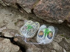 -青岛第一海水浴场
