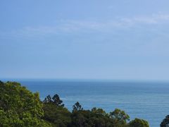 -广东惠东海龟国家级自然保护区