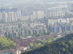 -惠山国家森林公园