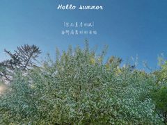 -长春市南湖公园