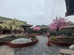 -珠海圆明新园