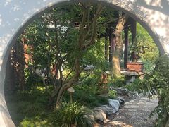 -上海醉白池公园