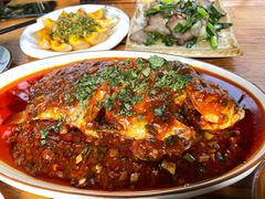 -青城甲(青城山店)