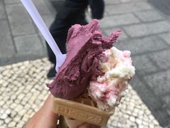-柠檬车露(卖草地店)