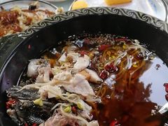 -金三可市井水煮鱼(金碧园店)