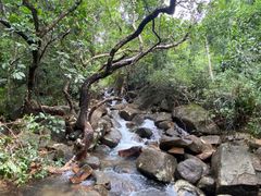 -狮子山郊野公园