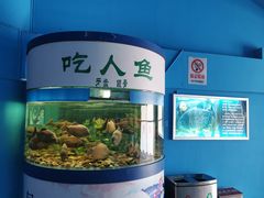 -厦门海底世界