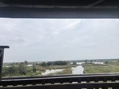 -盐城丹顶鹤湿地生态旅游区