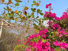 -三亚西岛海洋文化旅游区