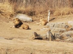-北京野生动物园
