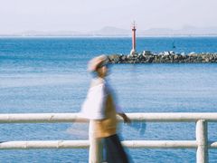 -放鸡岛生态旅游国际度假区