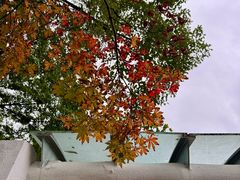 -白塘生态植物园