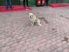 -蓟县盘山滑雪场