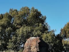 -无锡梅园公园