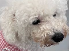 -怪兽屋·羊驼·猫咖·狗咖(俊华广场店)