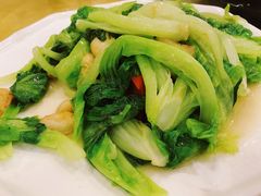 -姚林轩