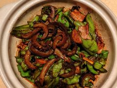 螺丝椒肉片海参-老大连·海肠捞饭·大连海鲜大连菜(西安路店)