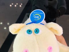 -红星美凯龙(上海沪南店)