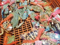 -巽寮印象美食部落餐厅·海鲜·地方特色菜(惠州体验店)