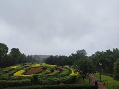 -铁山坪森林公园