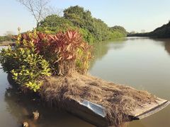 -大湾区中央湿地公园