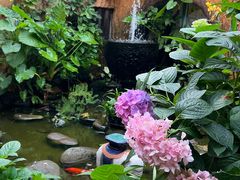 -园林美食城·本土农家菜(杨和镇店)