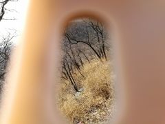 -鬼笑石后山停车场
