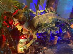 -恐龙探索乐园(磁器口店)