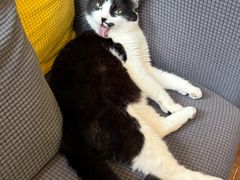 -路易时光(蕴川路店)