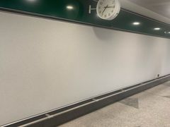 -米兰马尔彭萨国际机场