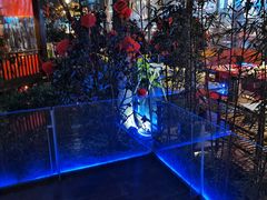 -二荆条·蜀鲜汇城市森林火锅