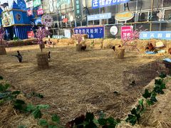 -北戴河集发农业梦想王国