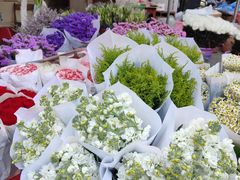 -循礼门鲜花花市(武汉循礼门店)