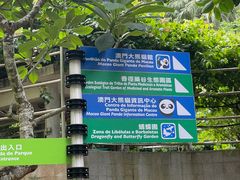 -石排湾郊野公园
