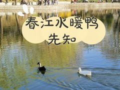 -团结湖公园