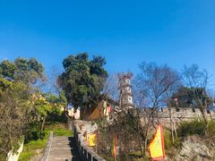 -紫阳古街