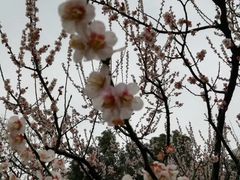 -荆川公园