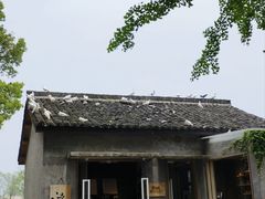 -良渚古城遗址公园