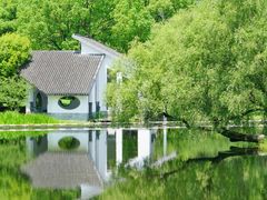 -上海共青森林公园