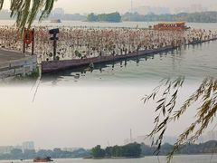 -济南大明湖景区
