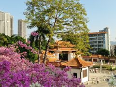 -深圳仙湖植物园