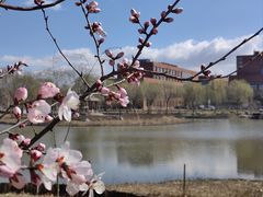 -南开大学(津南校区)