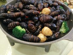-高德海鲜舫(黄河南大街店)