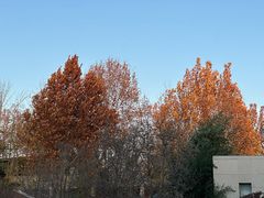 -春晖园度假酒店温泉