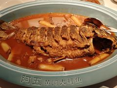 -阿五黄河大鲤鱼(英协路店)