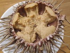 生海胆-海胆小馆(东北水饺·春柳店)