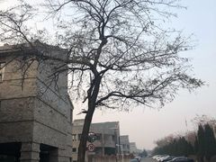 -大连东软信息学院(软件园校区)